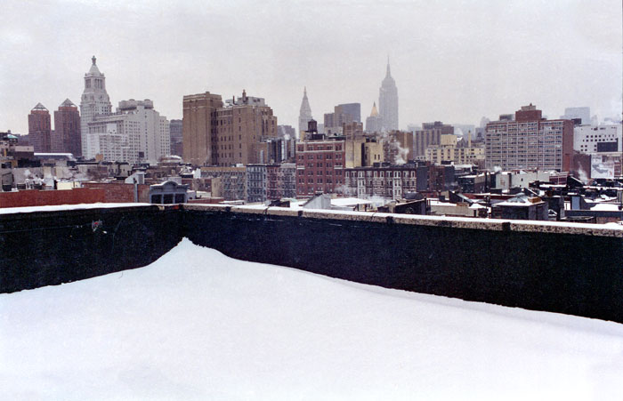 Looking north from the roof of our tenement building on 10th Street