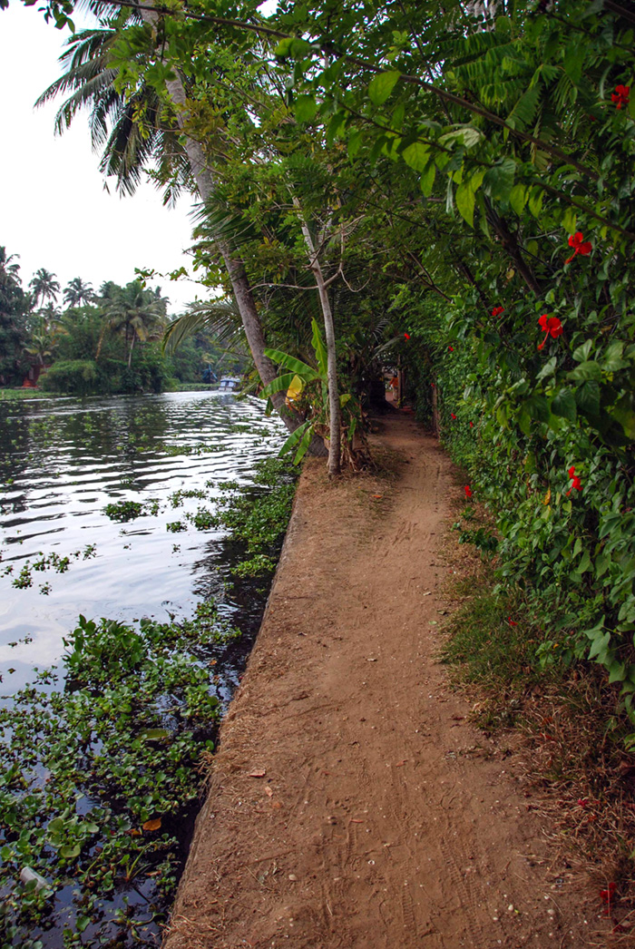 Canal path, Alleppey