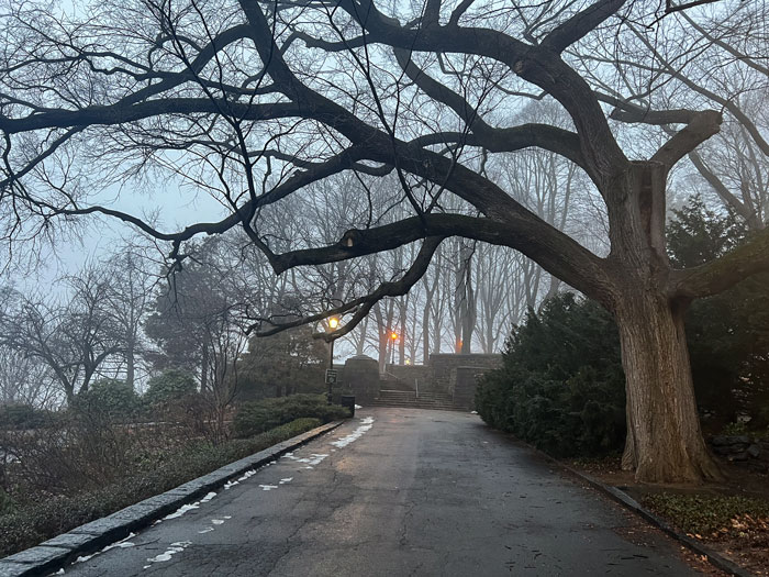 Fort Tryon Park in January rain