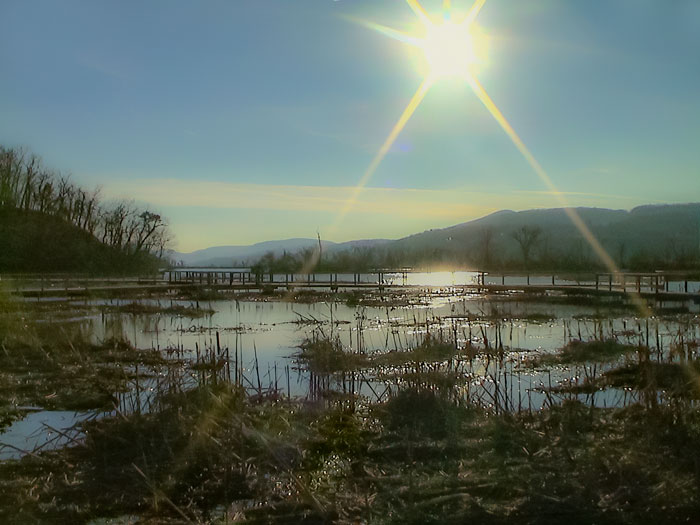 New Year's Day at Constitution Marsh
