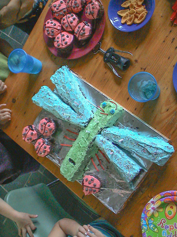 Dragonfly cake