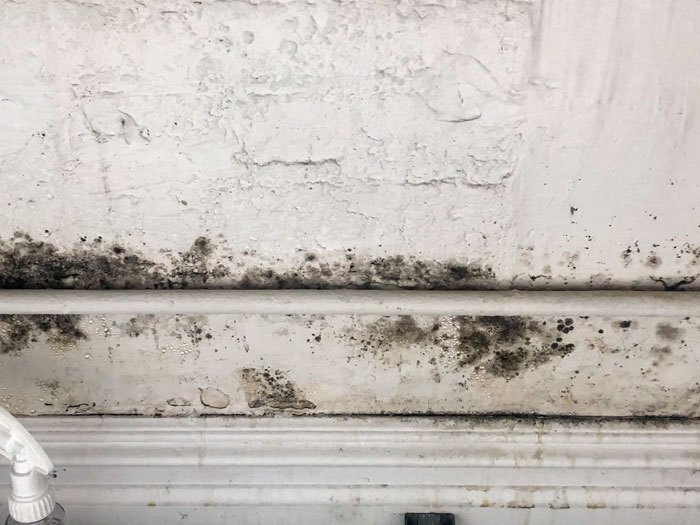 Mold