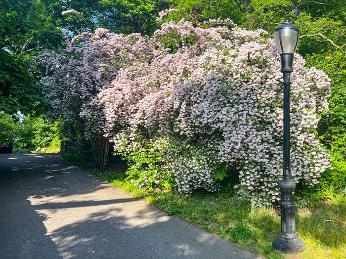 Fort Tryon