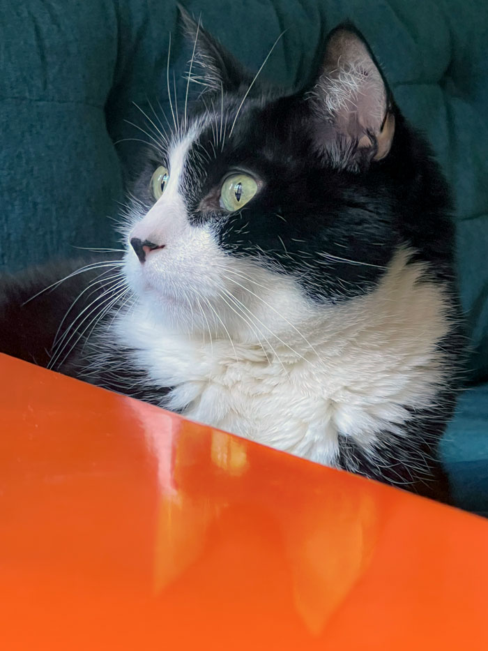 Philip at powder-coated metal table