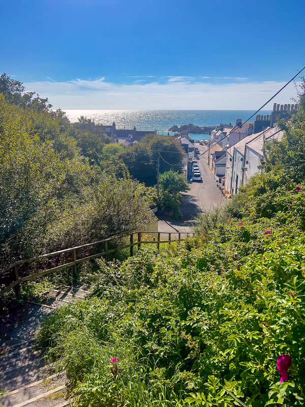 Where the brambles grew: on the stairs down to town