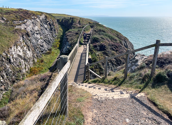 Shore cliffs