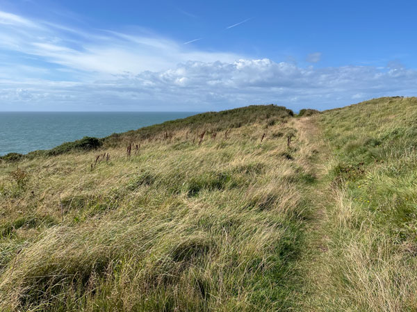 Dunskey Castle